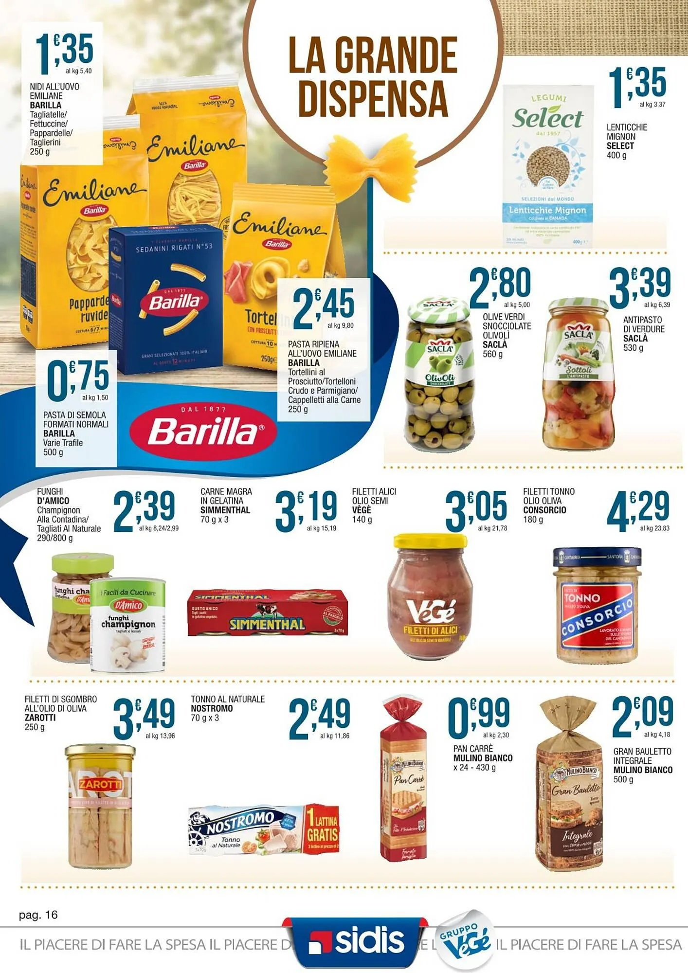 Volantino Maxi Sidis da 7 aprile a 19 aprile di 2025 - Pagina del volantino 16