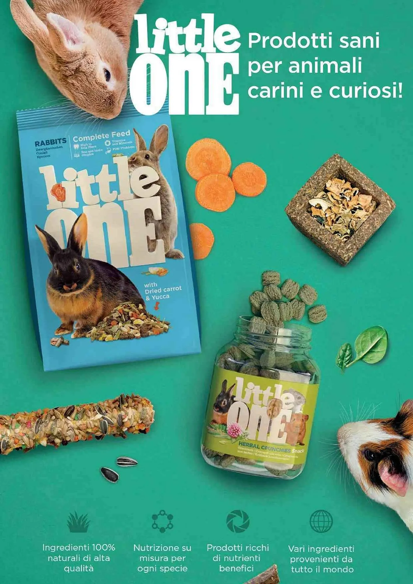 Volantino ZooPlanet da 29 ottobre a 28 novembre di 2025 - Pagina del volantino 13