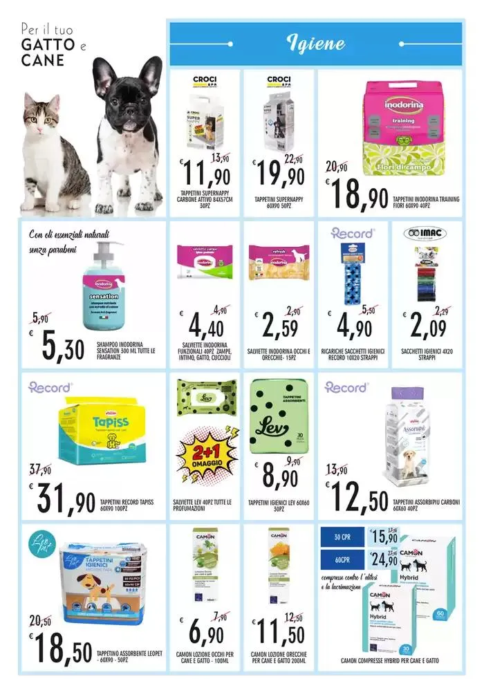 Acquari animali da 19 marzo a 14 aprile di 2025 - Pagina del volantino 7