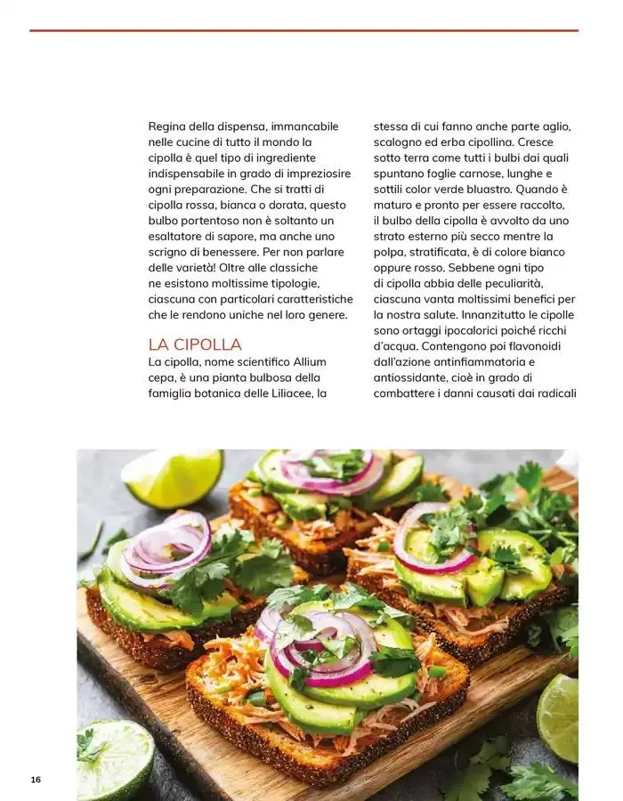 Sapori Italiani da 12 marzo a 31 marzo di 2025 - Pagina del volantino 16