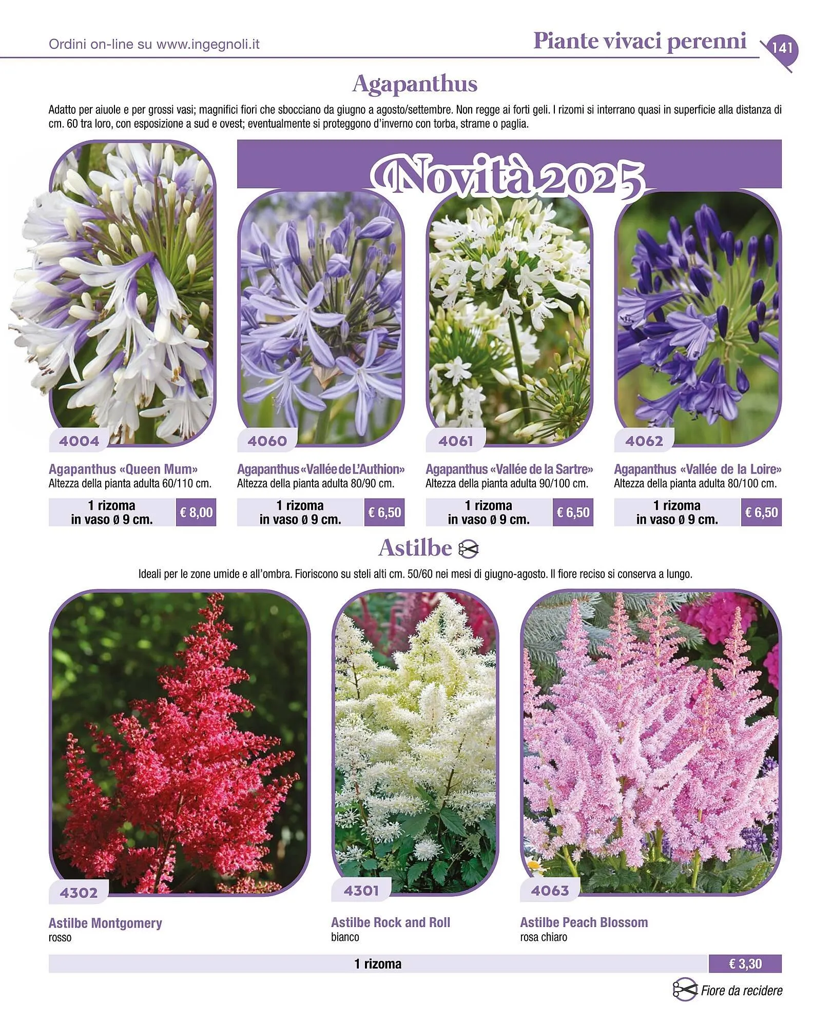 Volantino Ingegnoli da 4 novembre a 31 dicembre di 2025 - Pagina del volantino 143