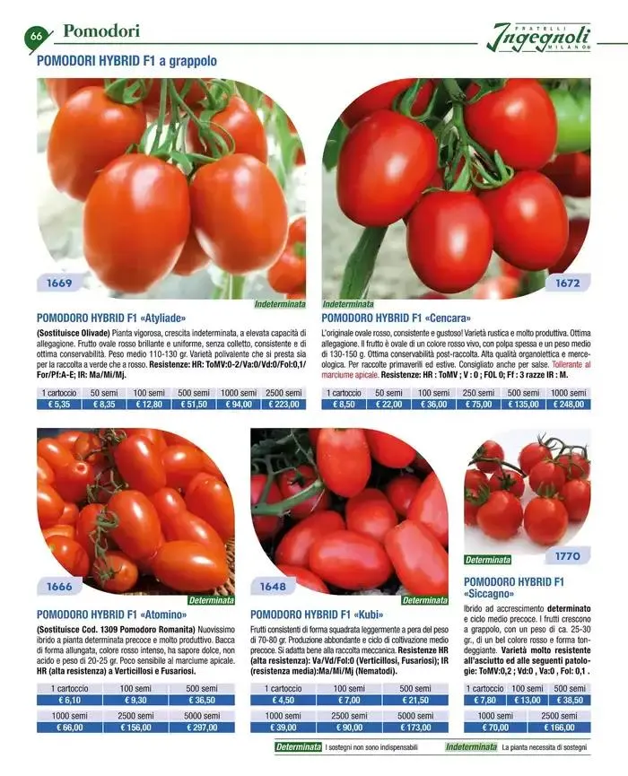 Catalogo guida 2025 da 20 gennaio a 31 dicembre di 2025 - Pagina del volantino 68