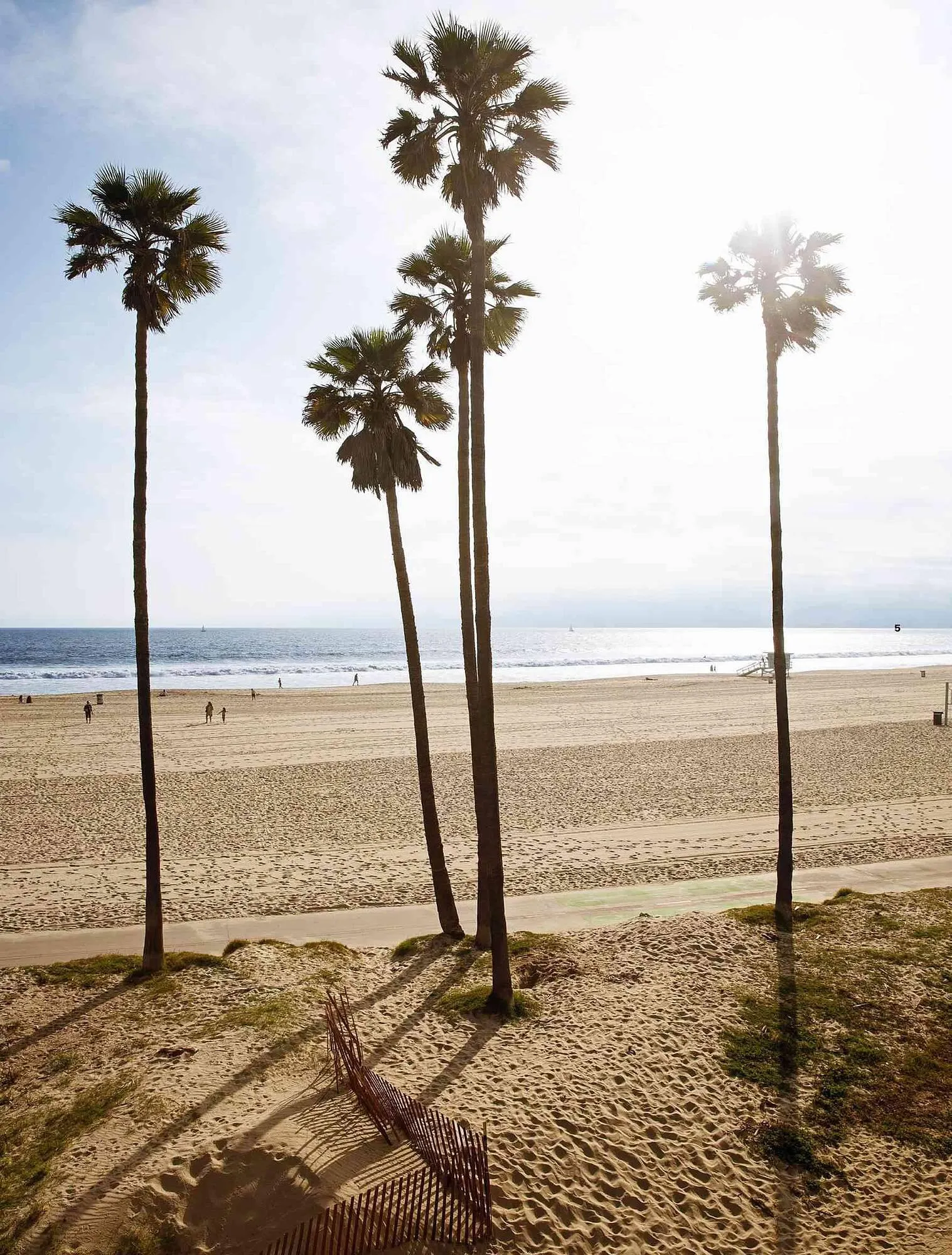 Volantino Carlo Pignatelli da 1 febbraio a 15 febbraio di 2024 - Pagina del volantino 7