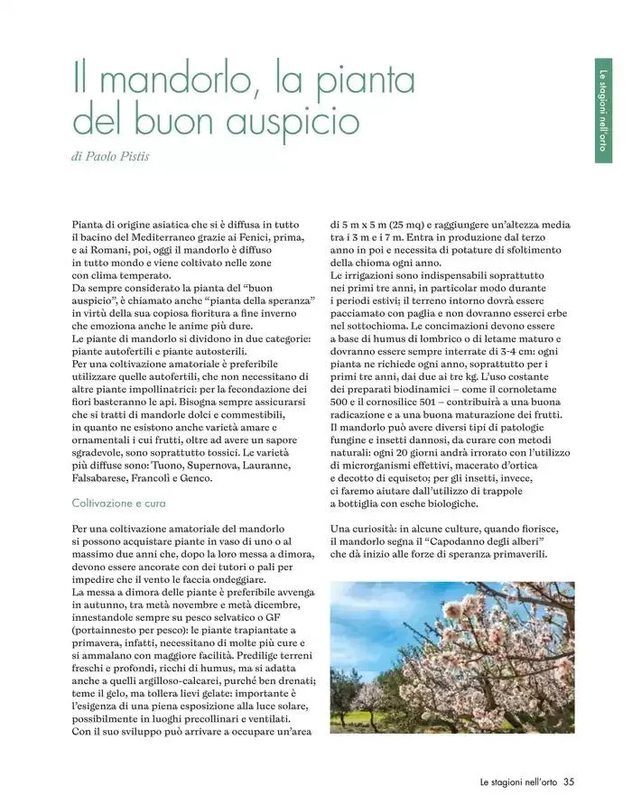 Primavera, una rinscita da condividere da 1 marzo a 30 aprile di 2025 - Pagina del volantino 35