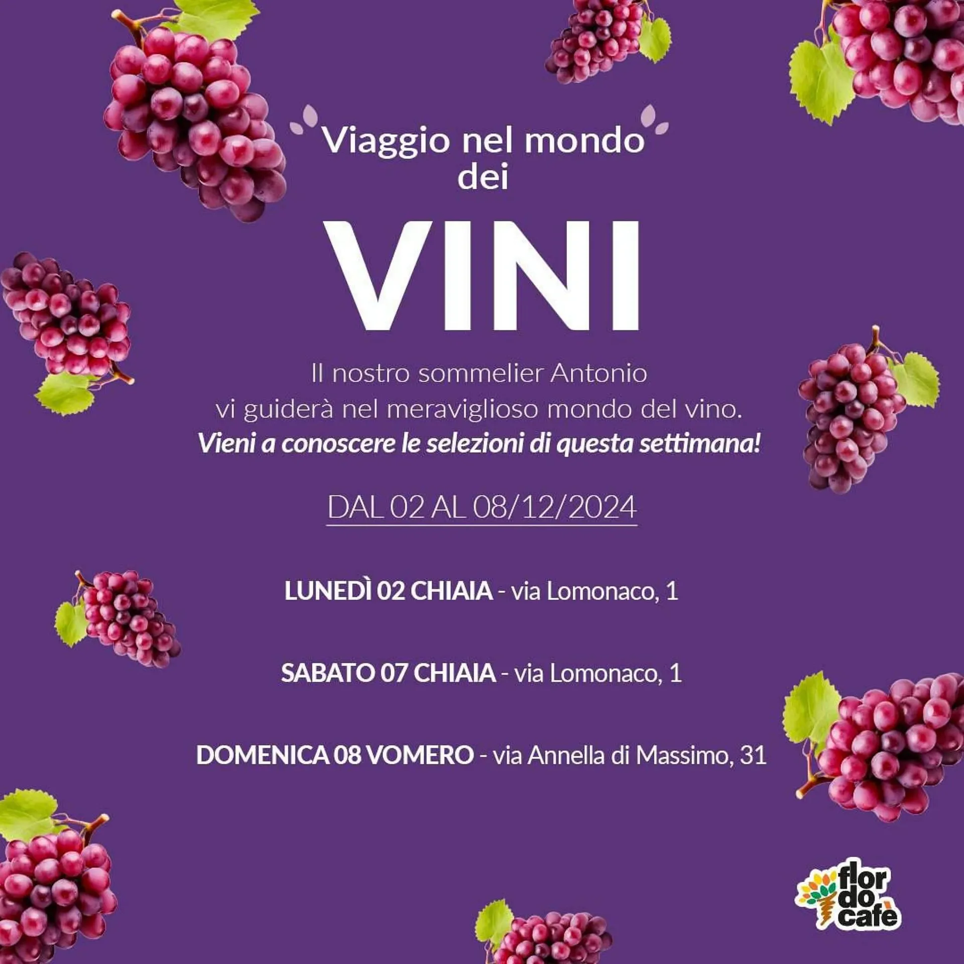 Volantino Flor do cafe - 1