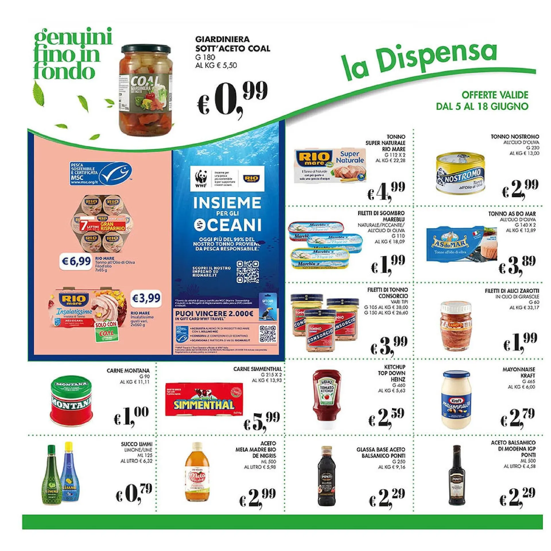 Volantino Maxi Coal da 5 giugno a 18 giugno di 2025 - Pagina del volantino 22