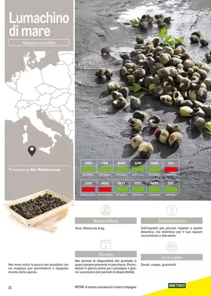 Catalogo Frutti di mare da 2 gennaio a 31 luglio di 2025 - Pagina del volantino 21