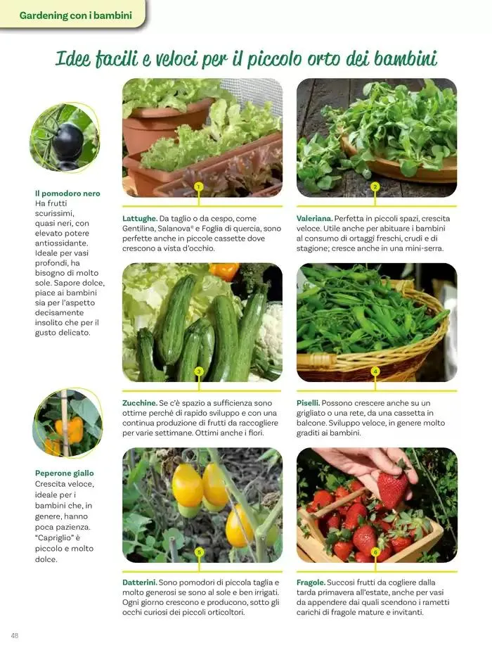 Idee per la vita all' aperto da 18 aprile a 18 maggio di 2025 - Pagina del volantino 48