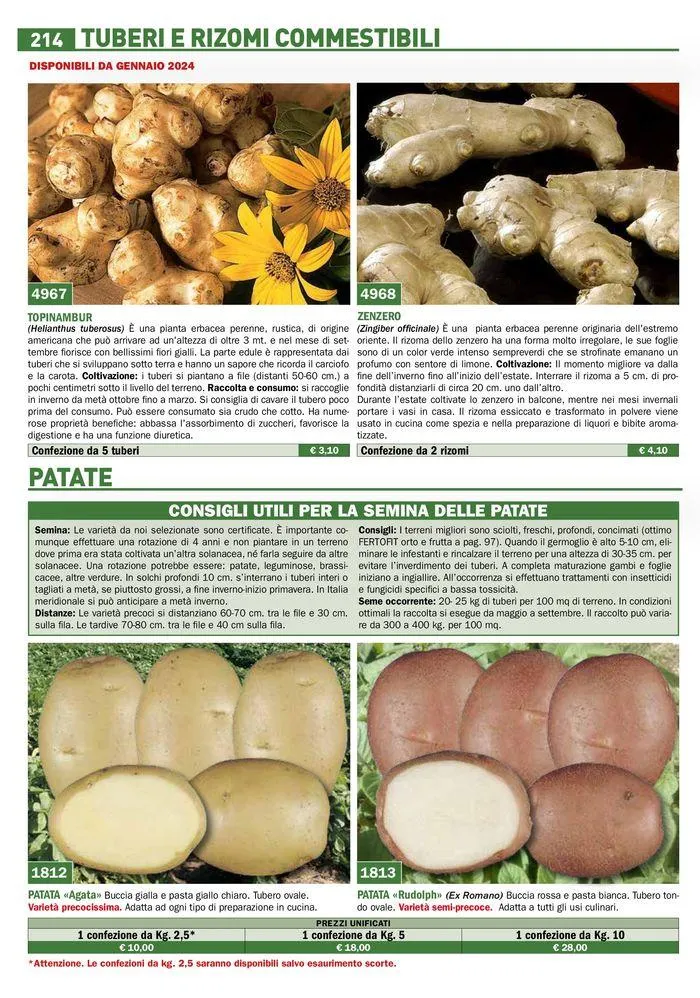 Catalogo guida 2024 da 25 marzo a 31 dicembre di 2024 - Pagina del volantino 216