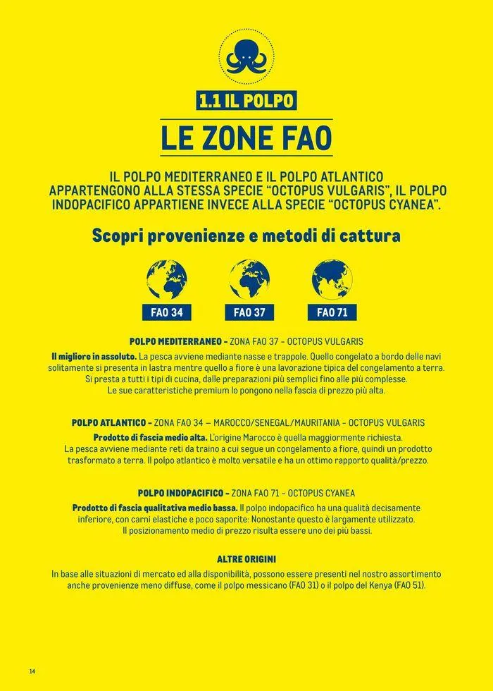 Catalogo Surgelati 2024 da 21 maggio a 31 maggio di 2025 - Pagina del volantino 14