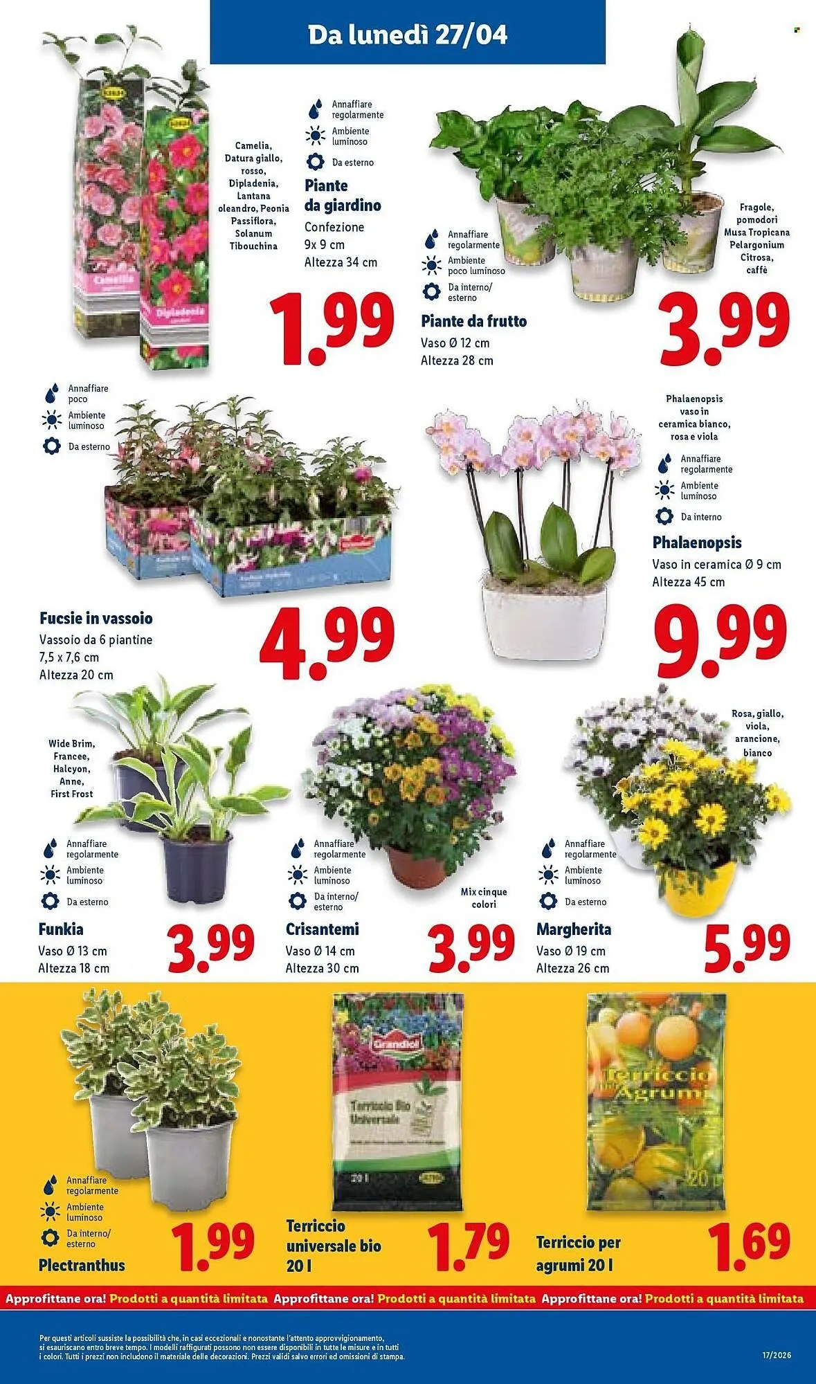 Volantino Lidl da 23 aprile a 29 aprile di 2026 - Pagina del volantino 41