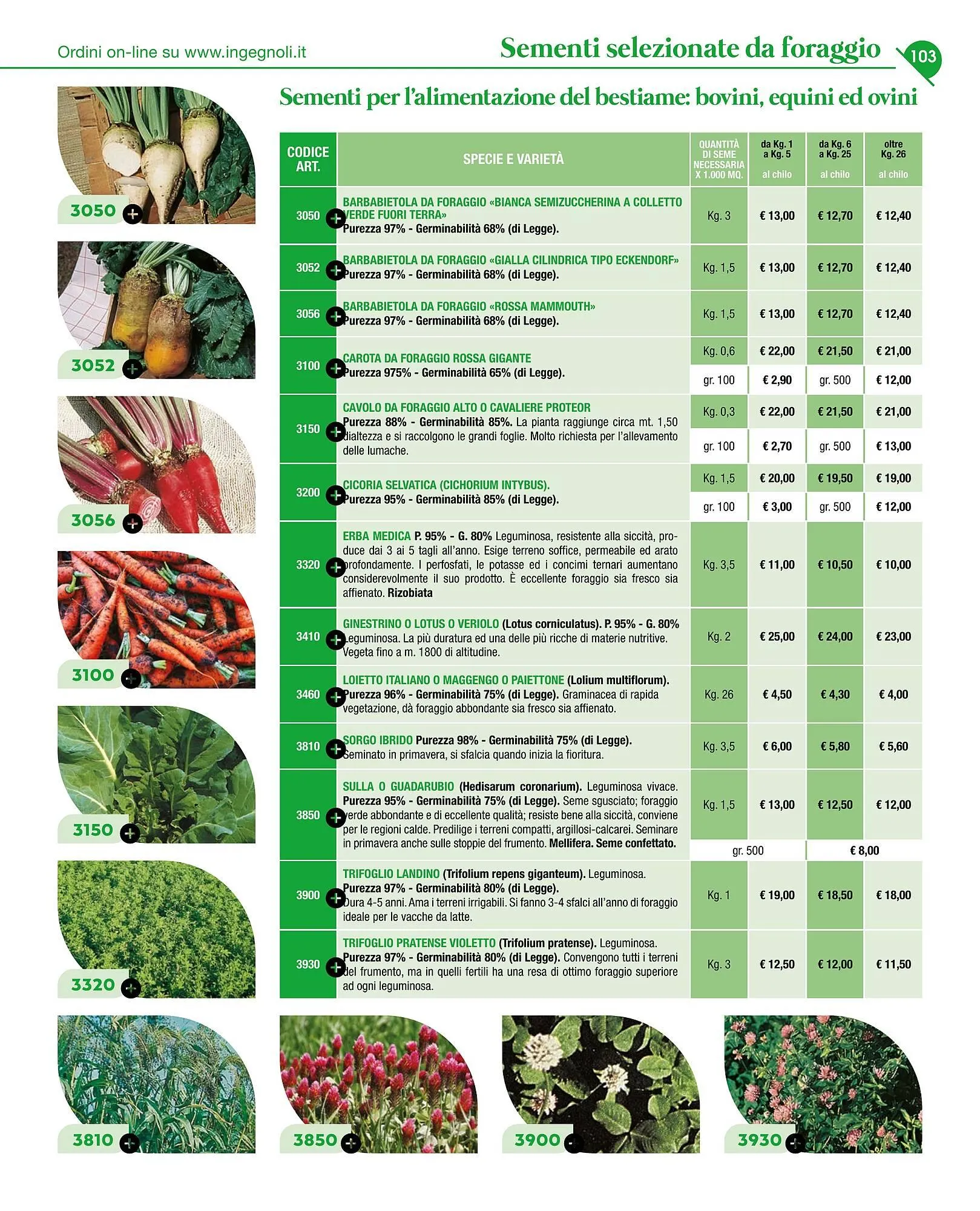 Volantino Ingegnoli da 4 novembre a 31 dicembre di 2025 - Pagina del volantino 105