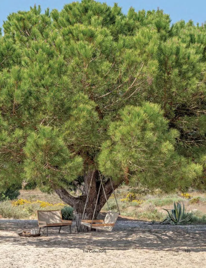 Outdoor decor collections 2024 da 1 febbraio a 30 giugno di 2024 - Pagina del volantino 125