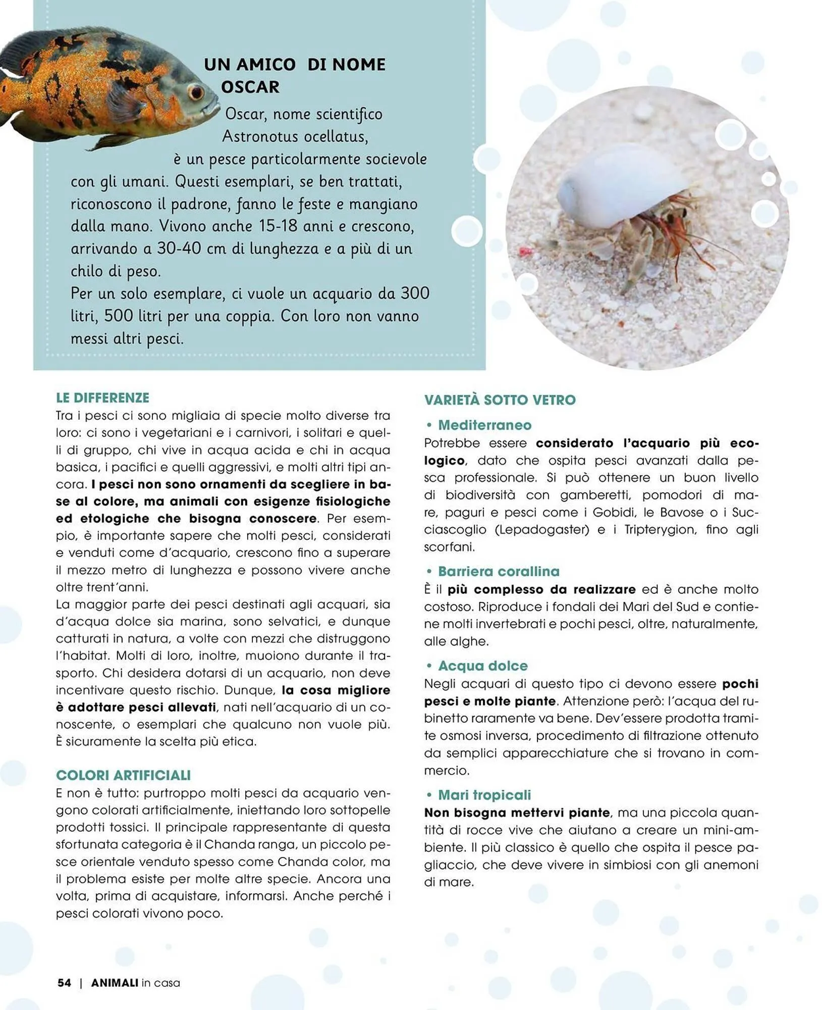 Volantino A&O da 1 novembre a 31 dicembre di 2025 - Pagina del volantino 55