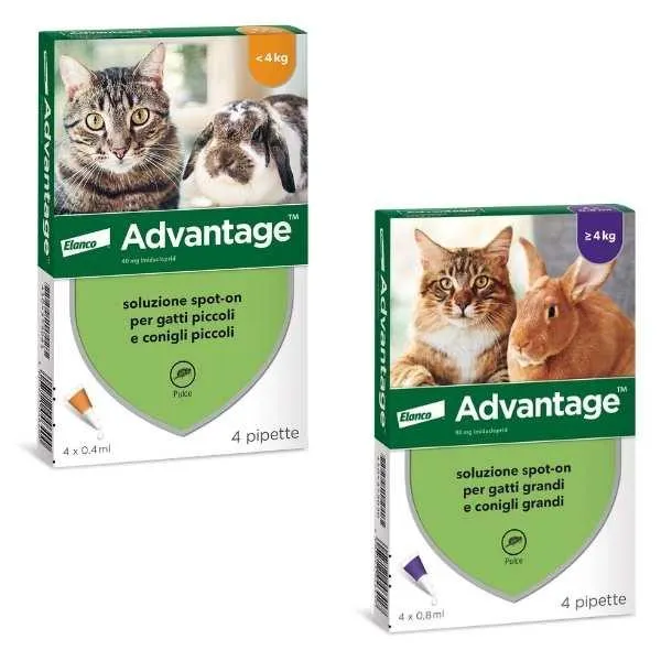 Elanco - Advantage Spot On Gatti/Conigli