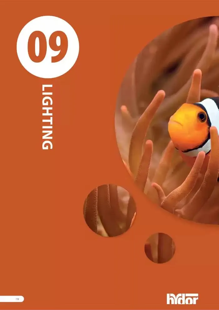 Ferplast da 13 dicembre a 31 dicembre di 2026 - Pagina del volantino 119