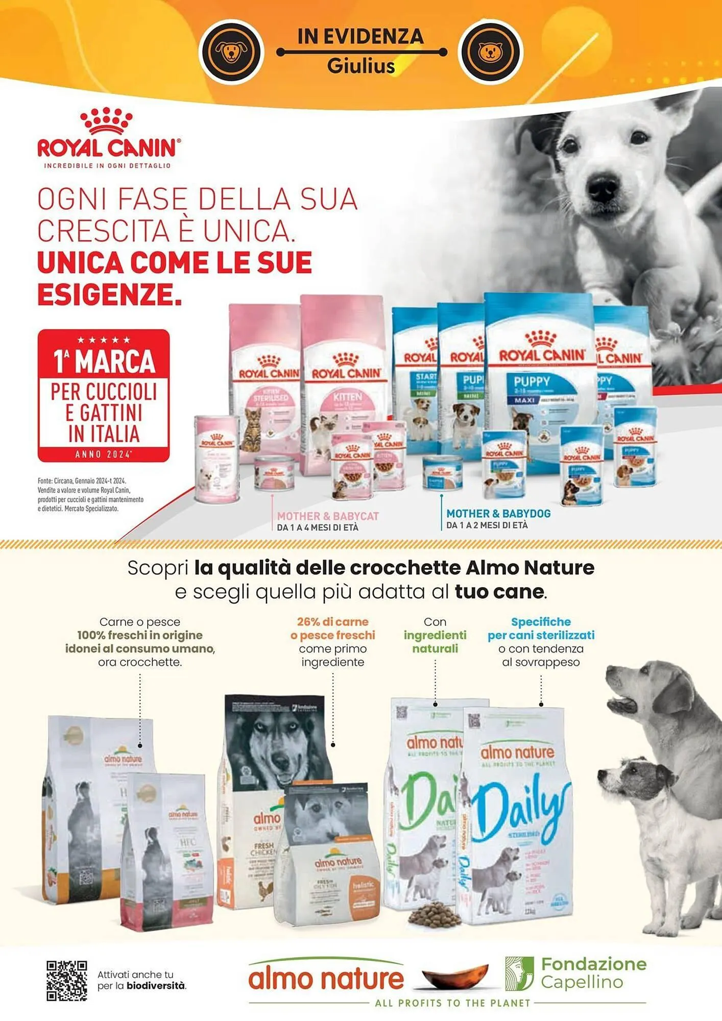 Volantino Giulius da 3 novembre a 31 dicembre di 2025 - Pagina del volantino 2