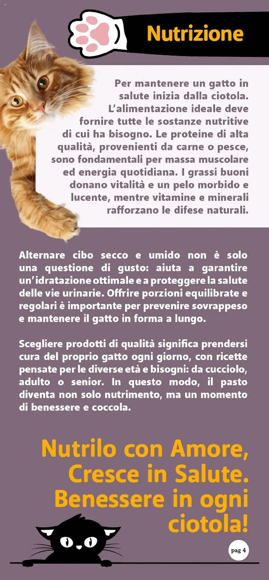 Volantino Supermercati Dok da 26 settembre a 11 ottobre di 2025 - Pagina del volantino 4