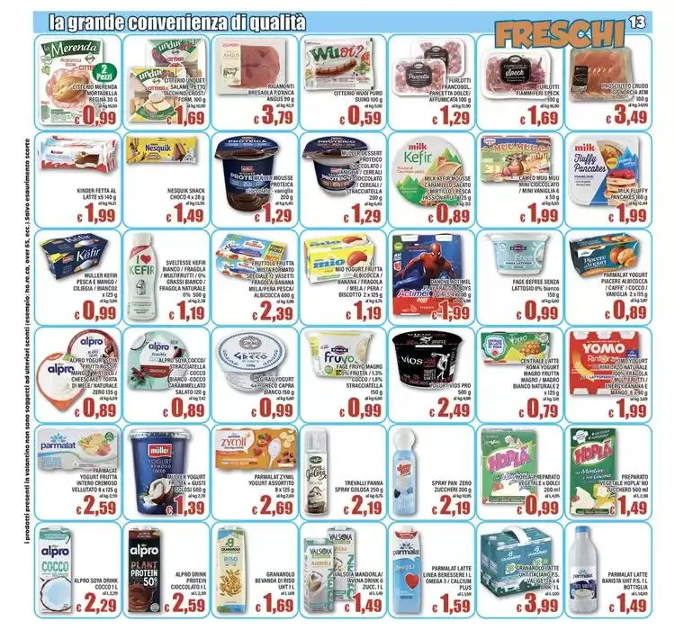 Il volantino da 21 marzo a 31 marzo di 2025 - Pagina del volantino 13