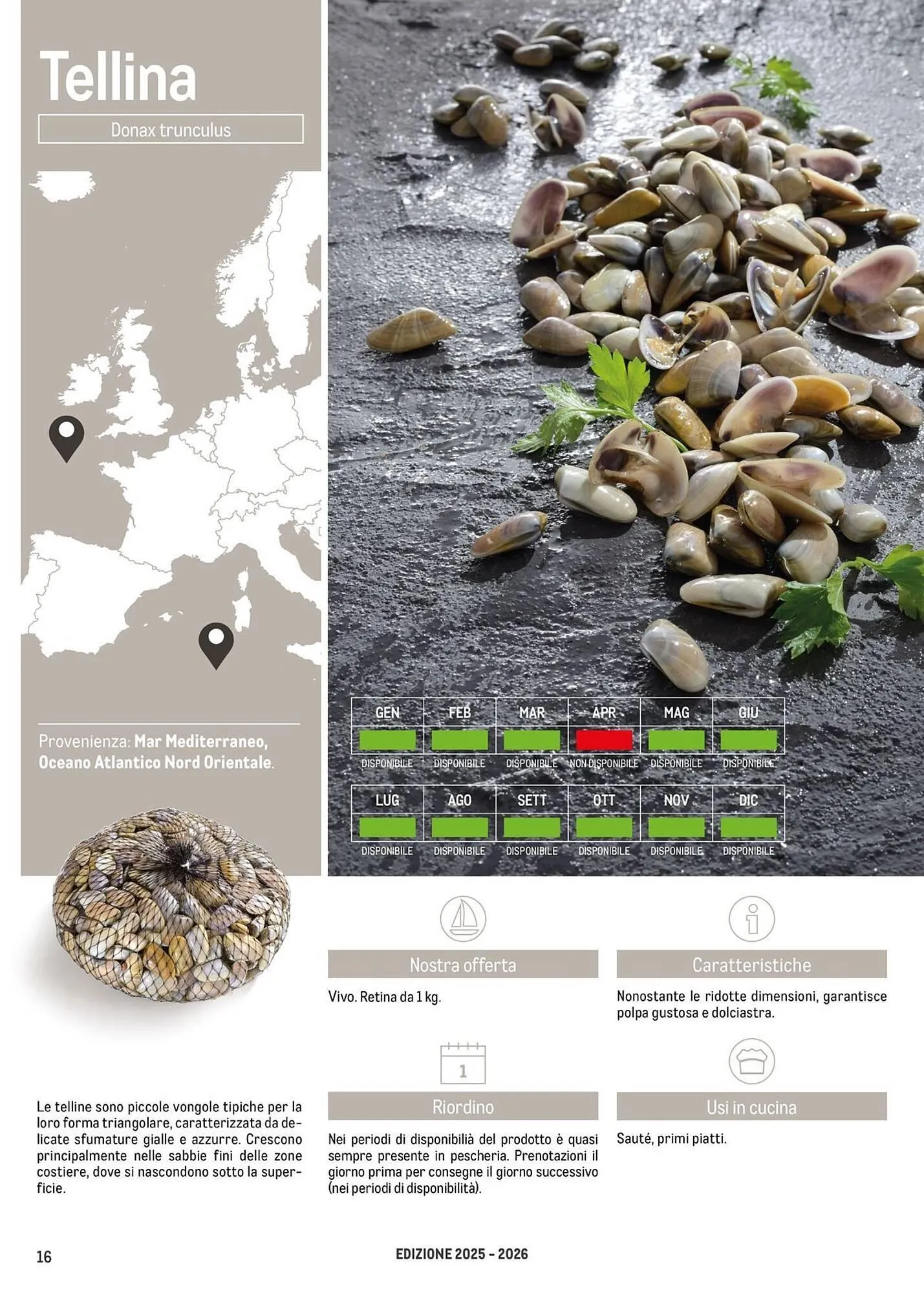 Volantino Metro da 16 giugno a 30 giugno di 2026 - Pagina del volantino 16