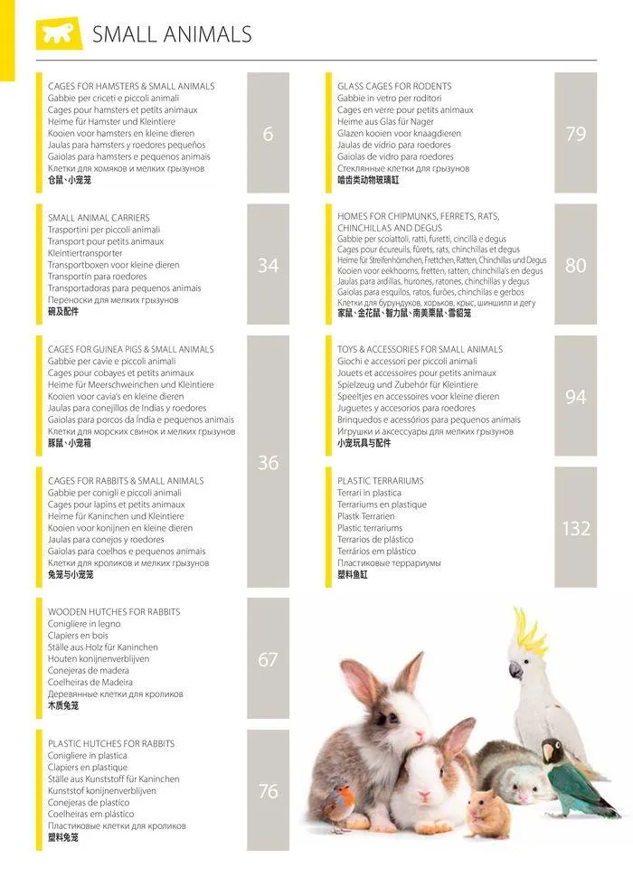 Small animals and birds da 6 maggio a 30 settembre di 2025 - Pagina del volantino 5