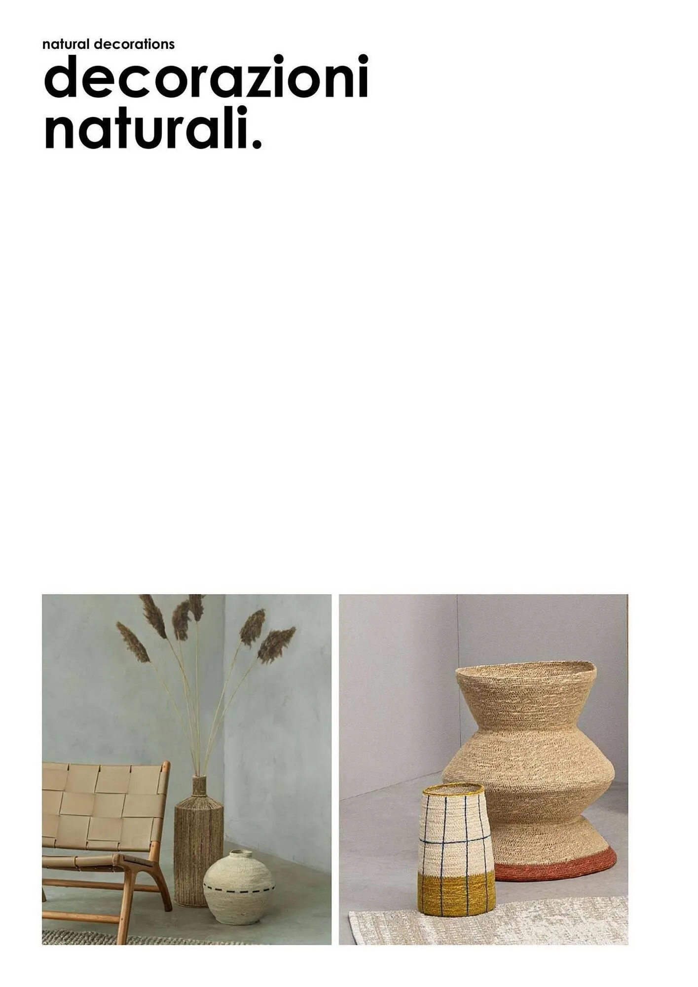 Volantino Bizzotto da 3 febbraio a 31 dicembre di 2025 - Pagina del volantino 33