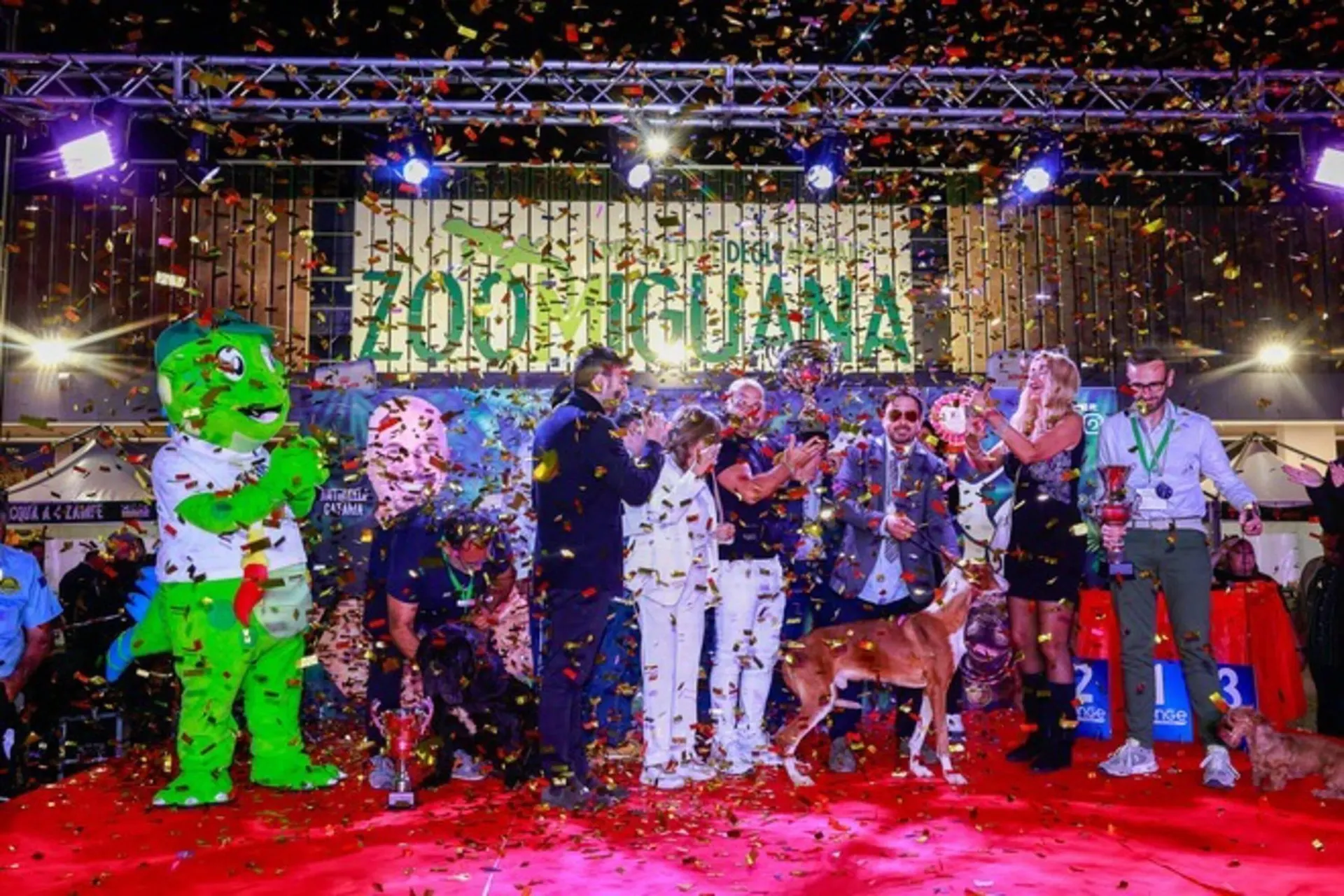 Volantino Zoomiguana da 9 novembre a 23 novembre di 2025 - Pagina del volantino 6