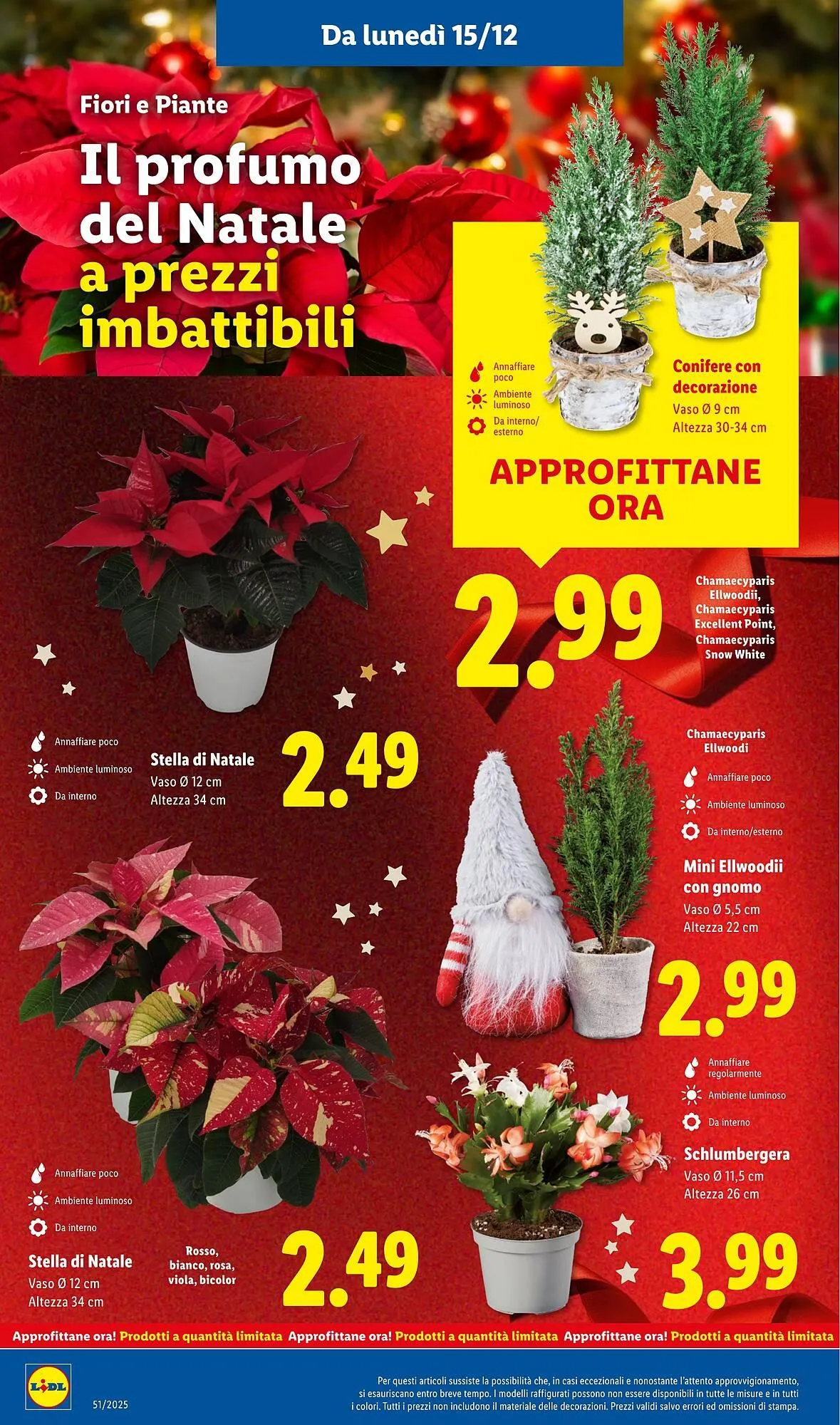 Volantino Lidl da 15 dicembre a 21 dicembre di 2025 - Pagina del volantino 32