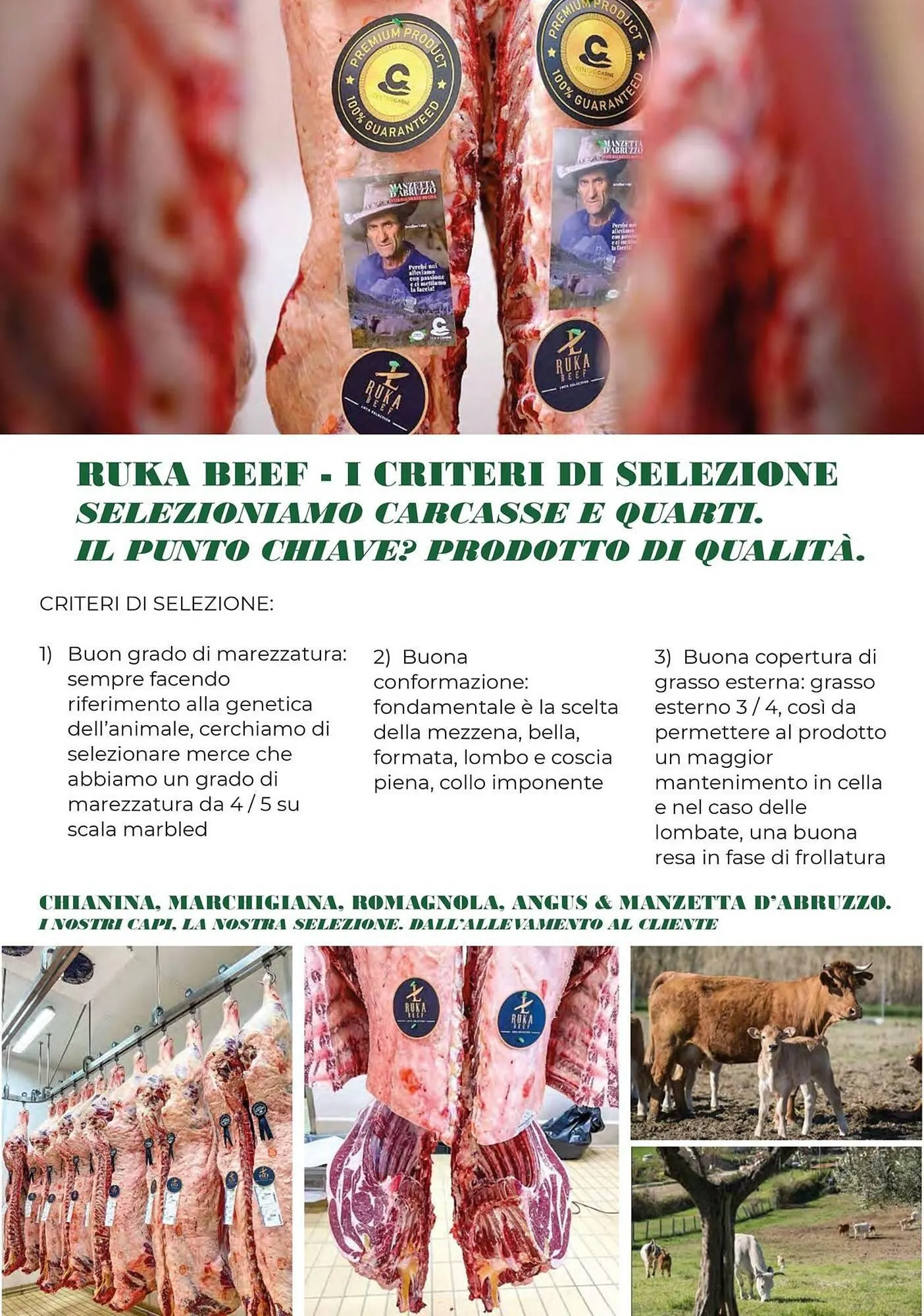 Volantino Centro Carne da 21 novembre a 31 dicembre di 2025 - Pagina del volantino 3