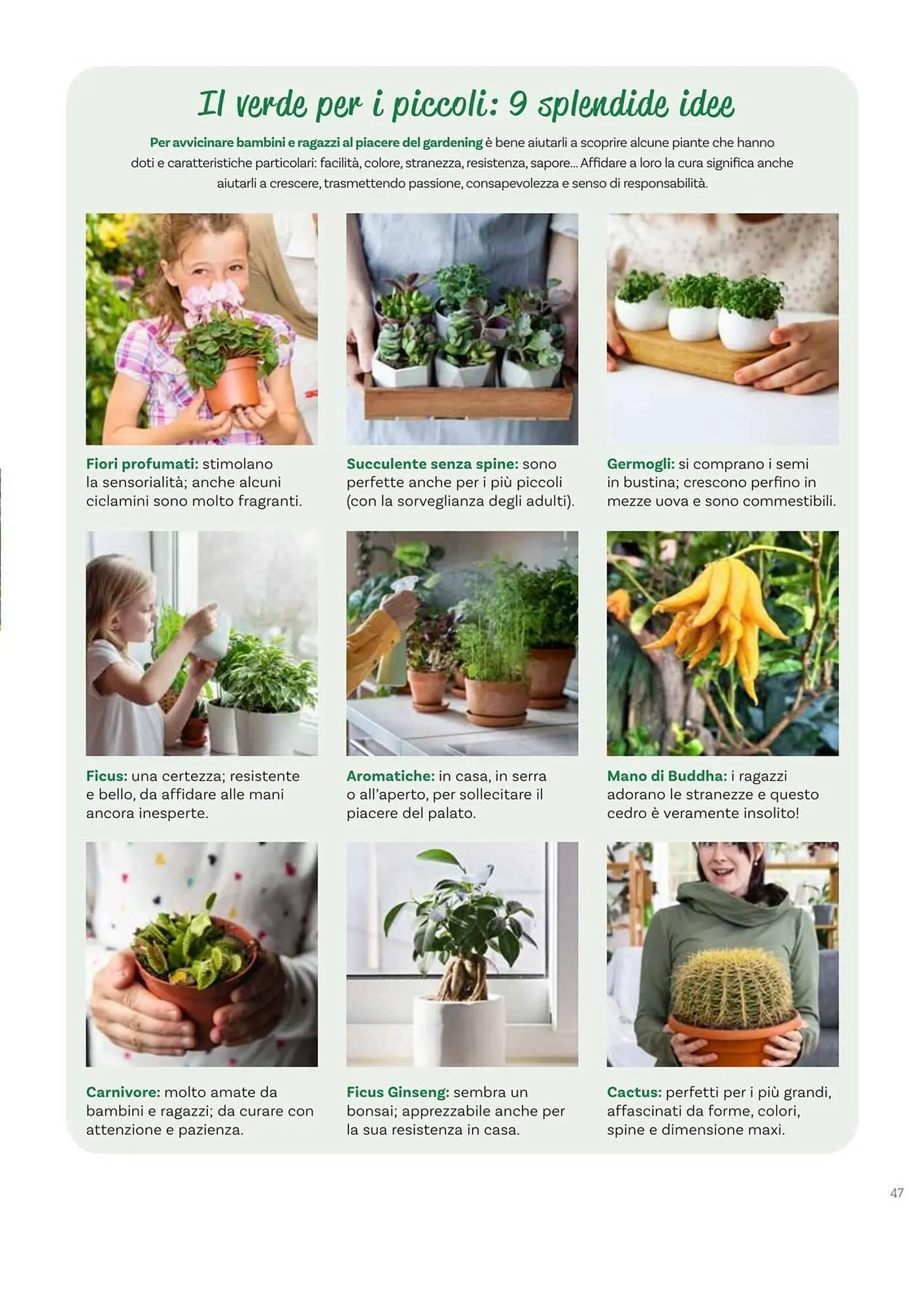 Volantino Viridea da 17 ottobre a 22 dicembre di 2025 - Pagina del volantino 47