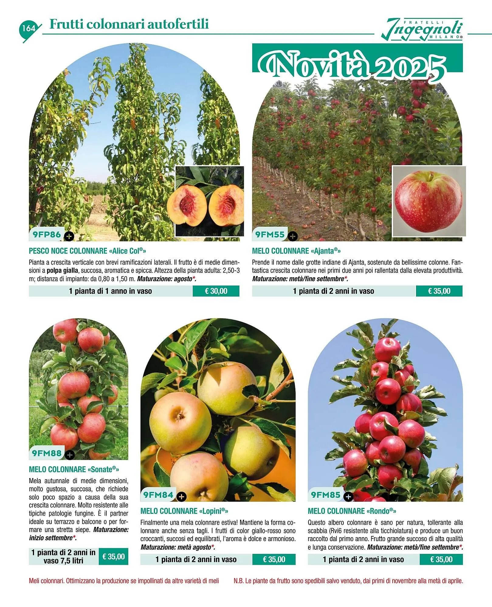 Volantino Ingegnoli da 4 novembre a 31 dicembre di 2025 - Pagina del volantino 166