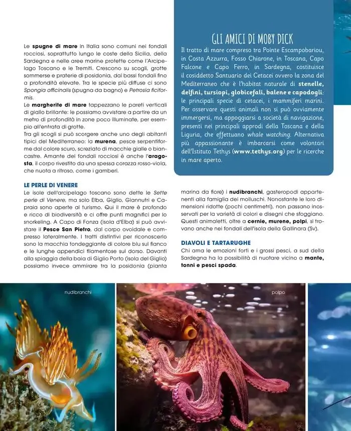 Catalogo A&O da 1 maggio a 30 giugno di 2025 - Pagina del volantino 41