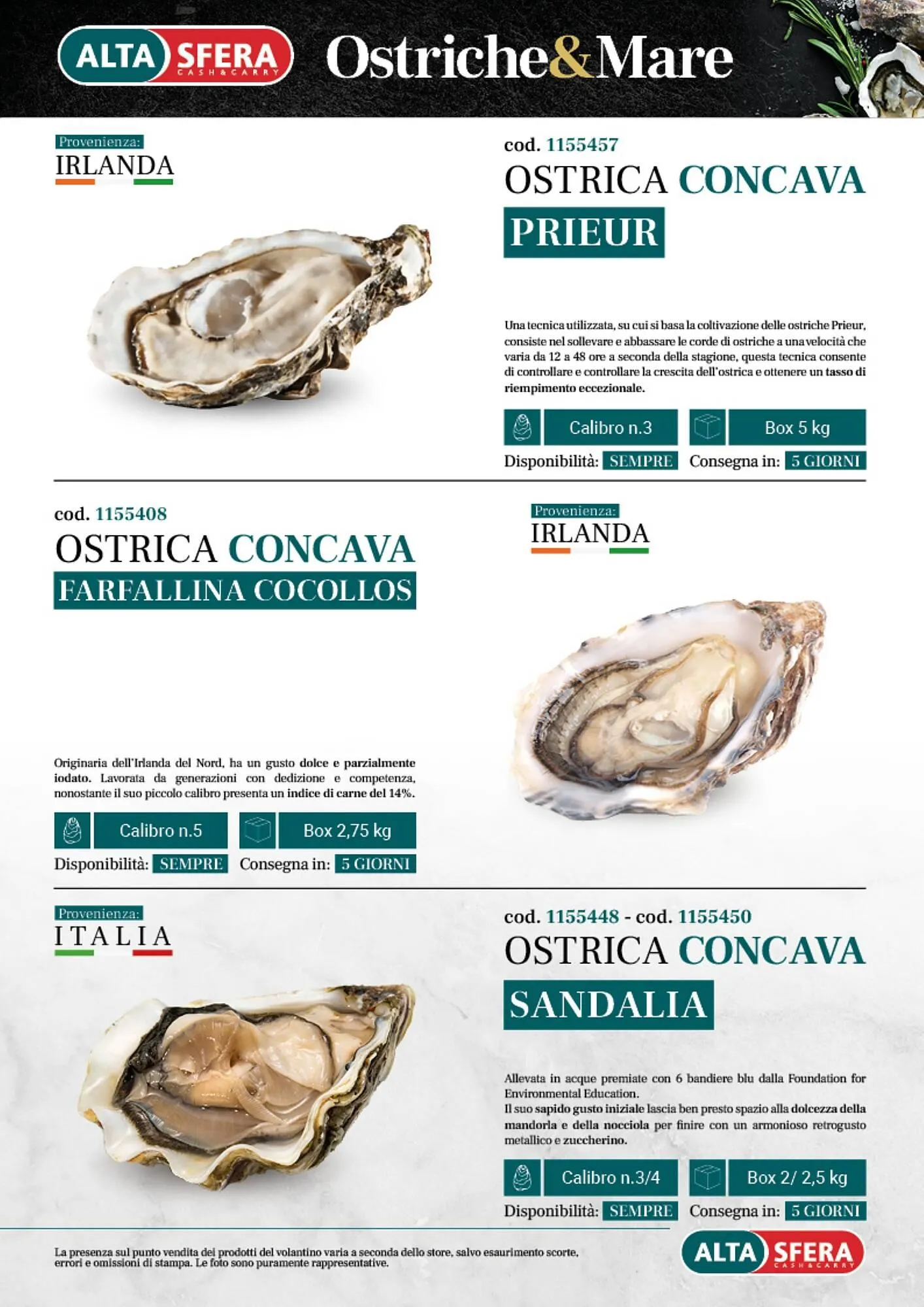 Volantino Altasfera da 14 aprile a 31 dicembre di 2025 - Pagina del volantino 13