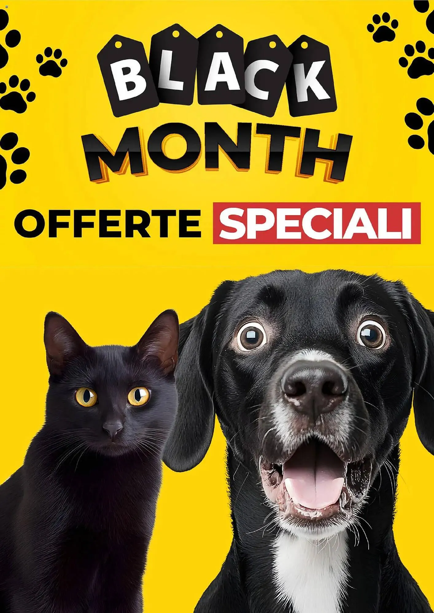 Volantino Arcaplanet - 1