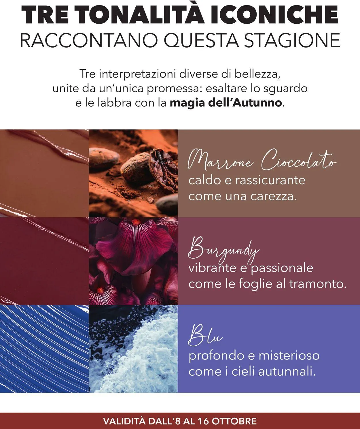 Yves Rocher Volantino attuale da 8 ottobre a 16 ottobre di 2025 - Pagina del volantino 2