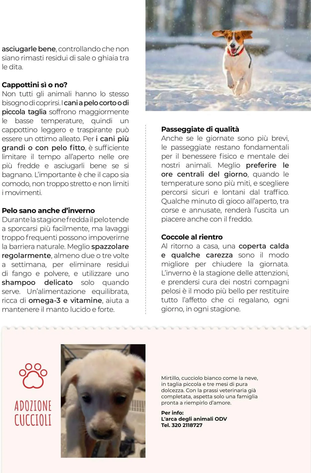 Gulliver Volantino attuale da 1 dicembre a 31 dicembre di 2025 - Pagina del volantino 89