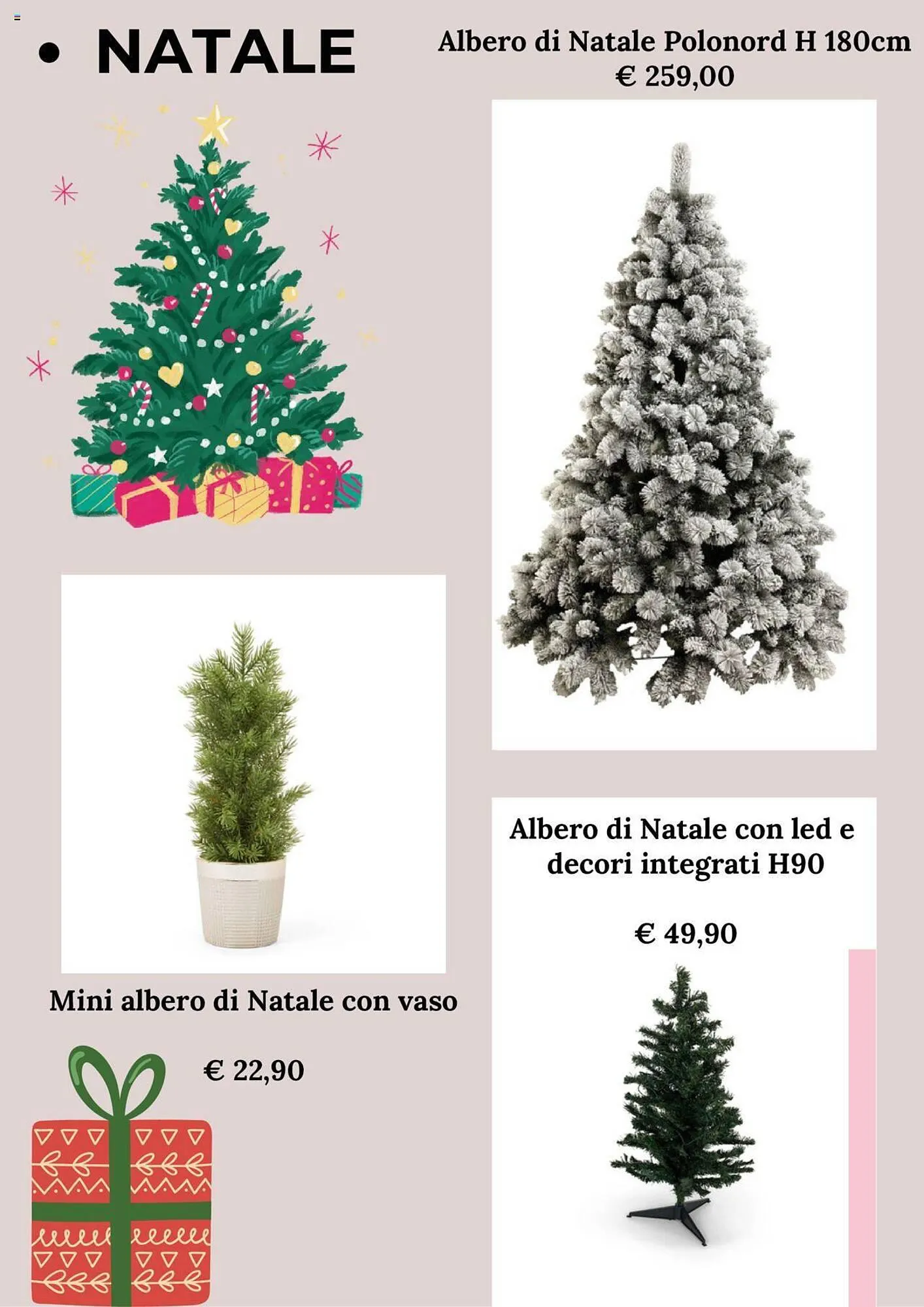 Volantino Coin da 29 ottobre a 4 dicembre di 2023 - Pagina del volantino 2