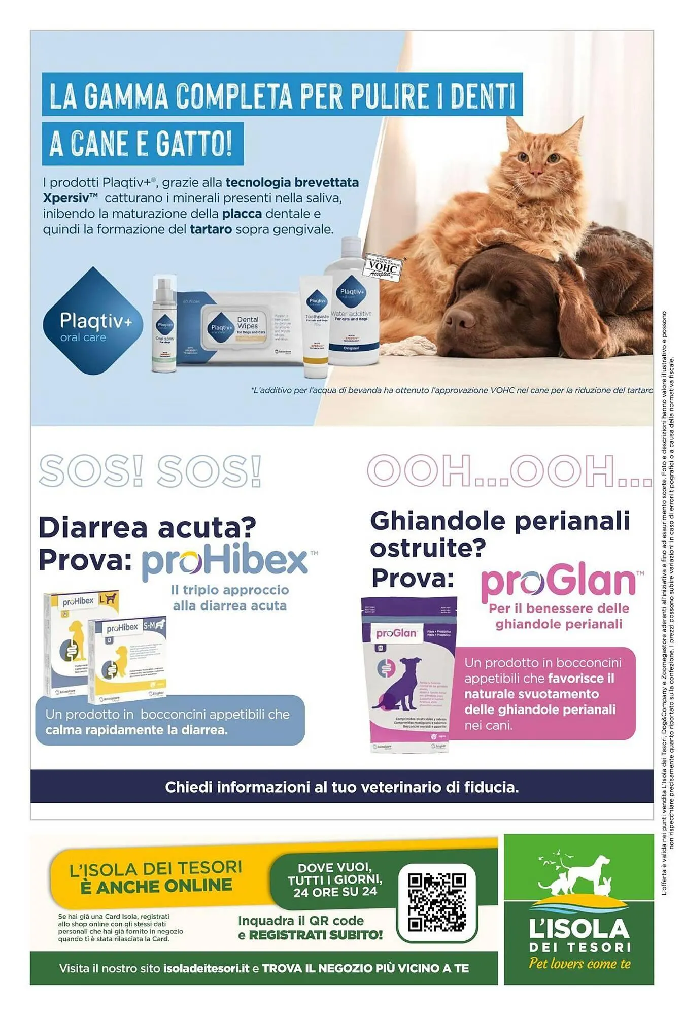 volantino L´Isola dei Tesori da 3 settembre a 28 settembre di 2025 - Pagina del volantino 16