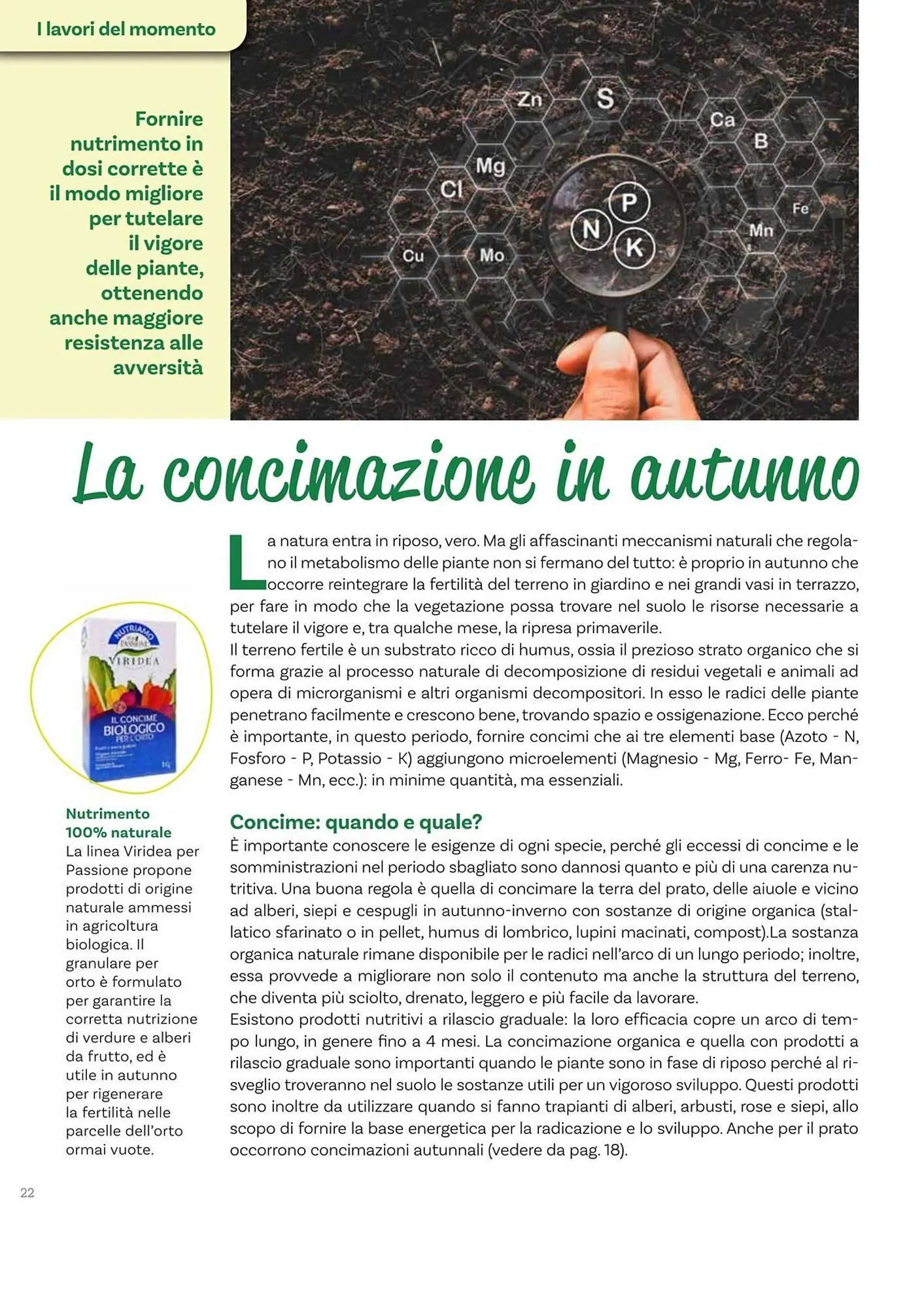 Volantino Viridea da 17 ottobre a 22 dicembre di 2025 - Pagina del volantino 22