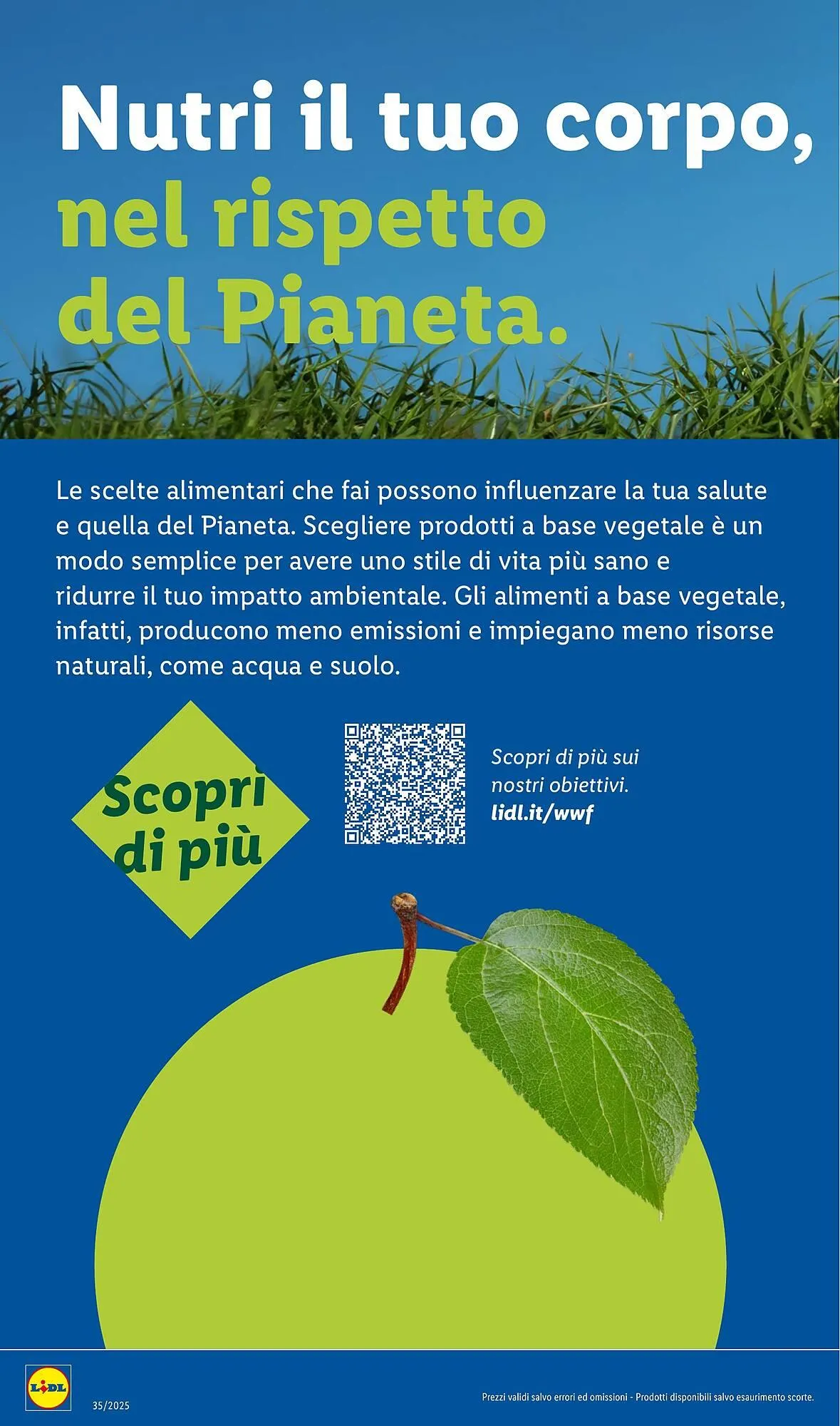 Volantino Lidl da 25 agosto a 31 agosto di 2025 - Pagina del volantino 28