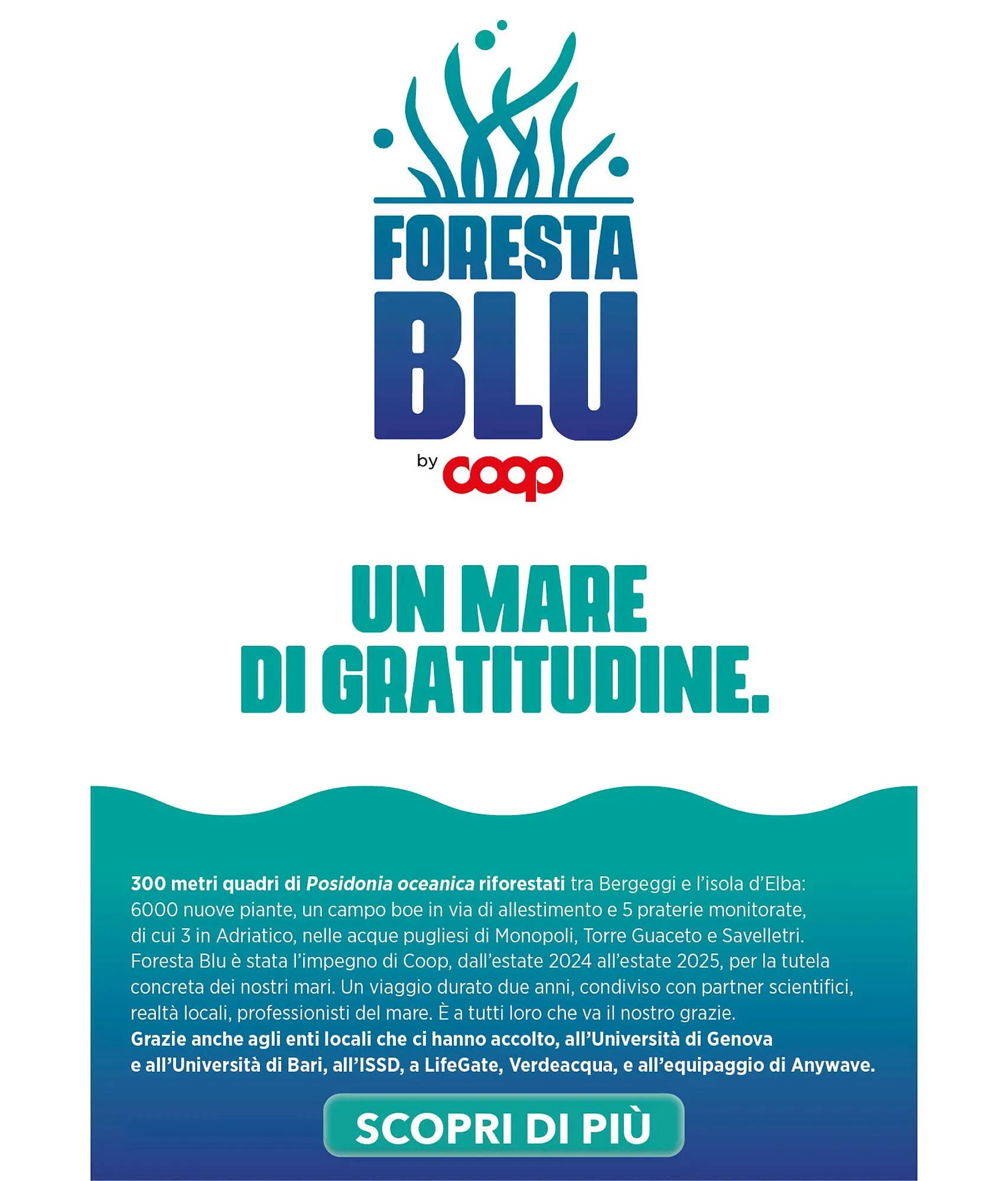 Volantino Ipercoop da 25 settembre a 8 ottobre di 2025 - Pagina del volantino 39