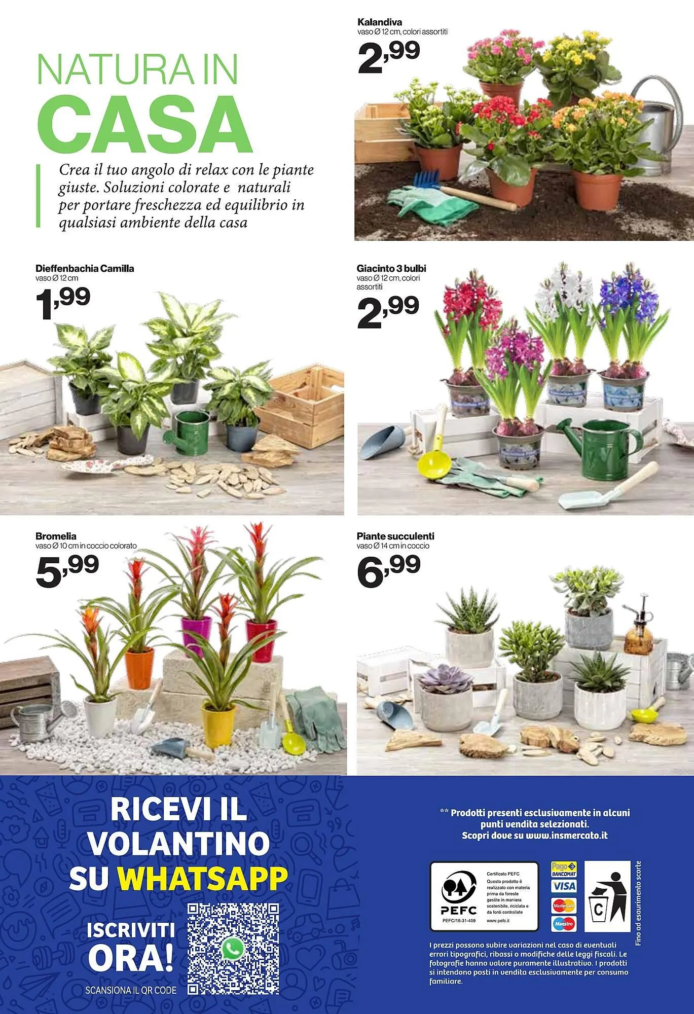 Volantino In'S Mercato da 17 dicembre a 28 dicembre di 2025 - Pagina del volantino 24