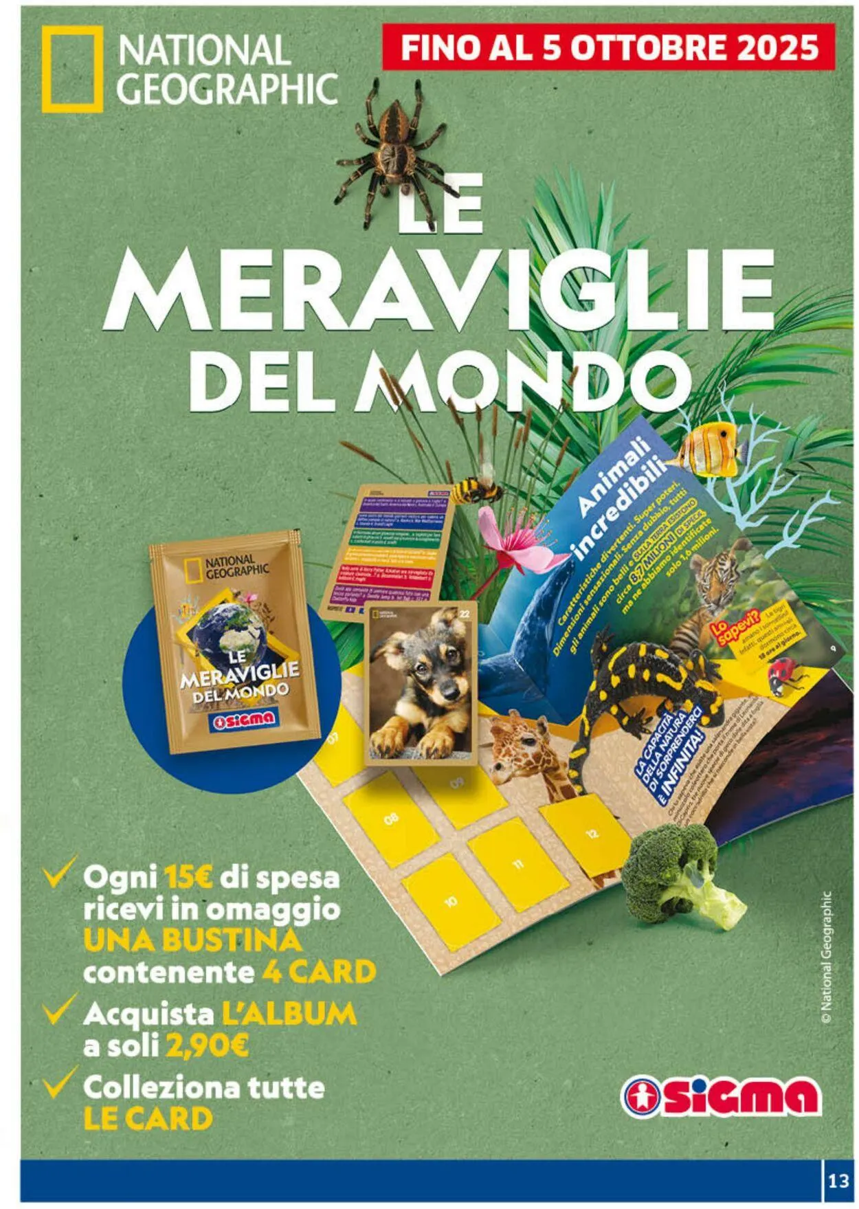 Sigma - Napoli Volantino attuale da 26 settembre a 6 ottobre di 2025 - Pagina del volantino 13