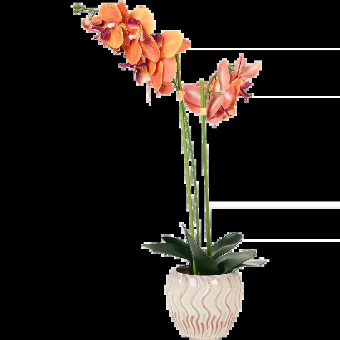 Orchidea artificiale in vaso The Hamptons Collections HOME