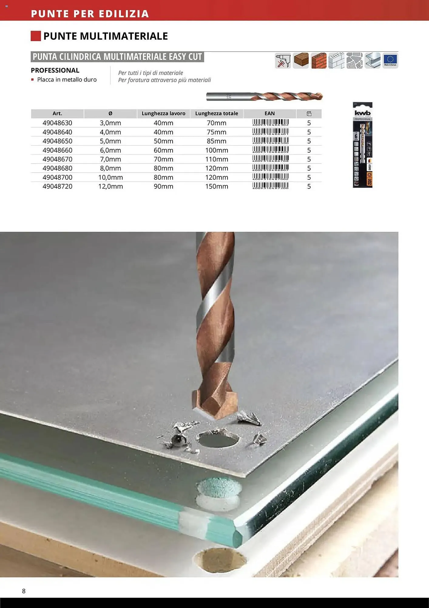 Volantino Einhell da 17 marzo a 31 dicembre di 2026 - Pagina del volantino 10