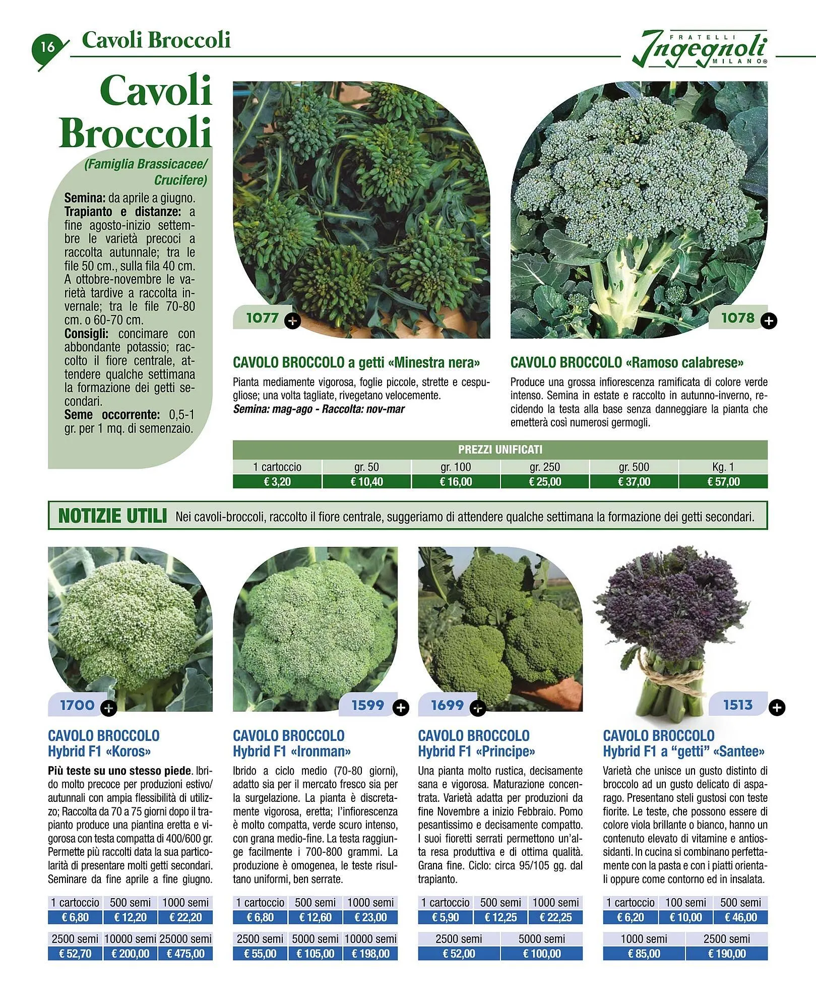 Volantino Ingegnoli da 4 novembre a 31 dicembre di 2025 - Pagina del volantino 18