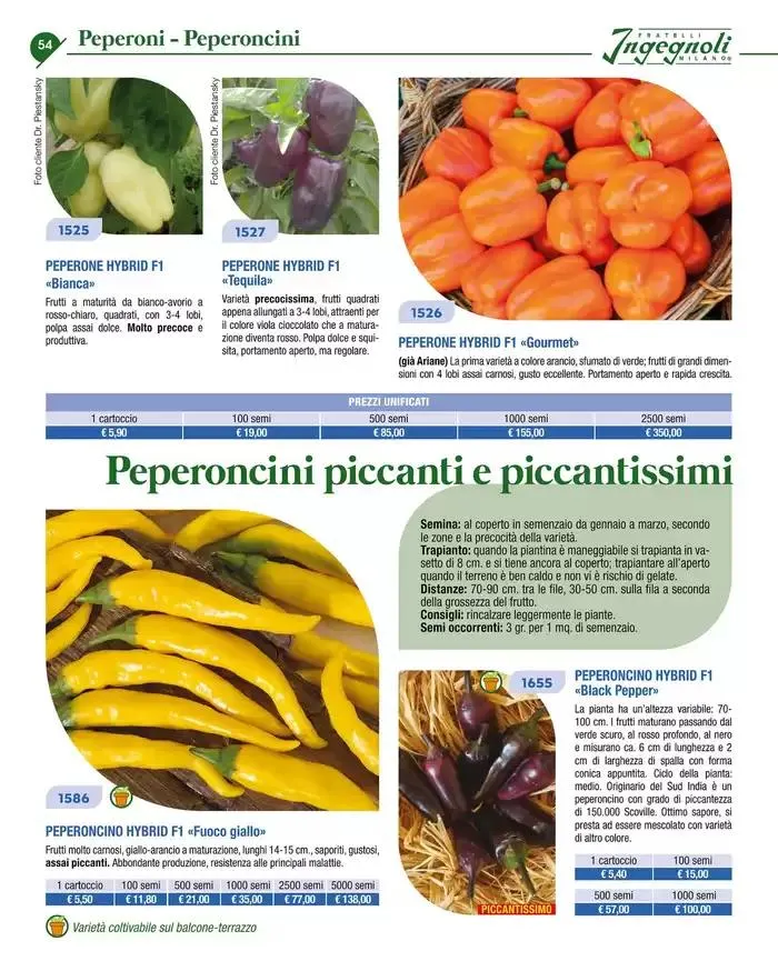 Catalogo guida 2025 da 20 gennaio a 31 dicembre di 2025 - Pagina del volantino 56