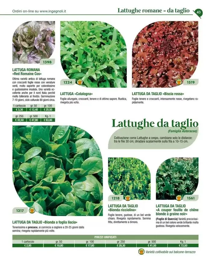 Catalogo guida 2025 da 20 gennaio a 31 dicembre di 2025 - Pagina del volantino 45