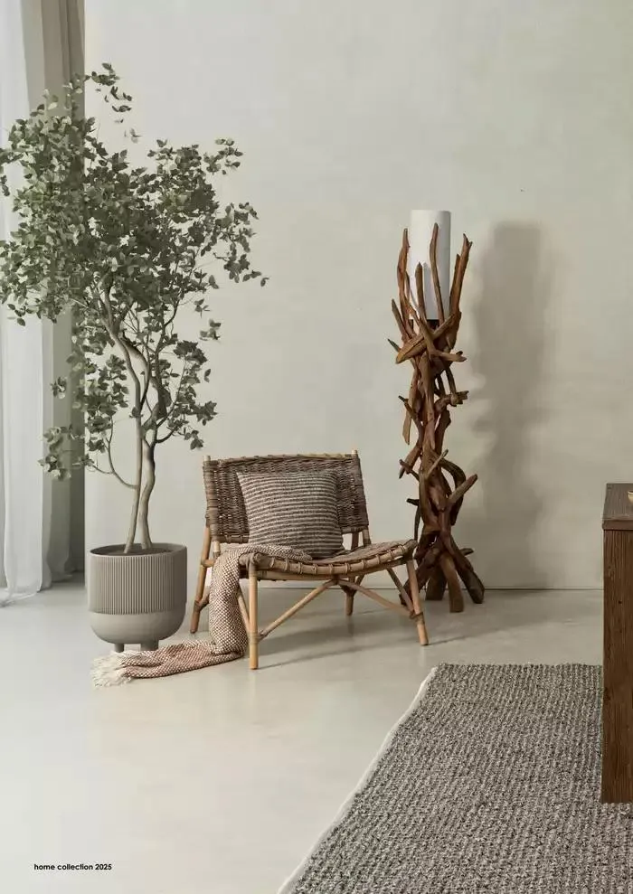 Home collection 2025 da 1 gennaio a 31 dicembre di 2025 - Pagina del volantino 102