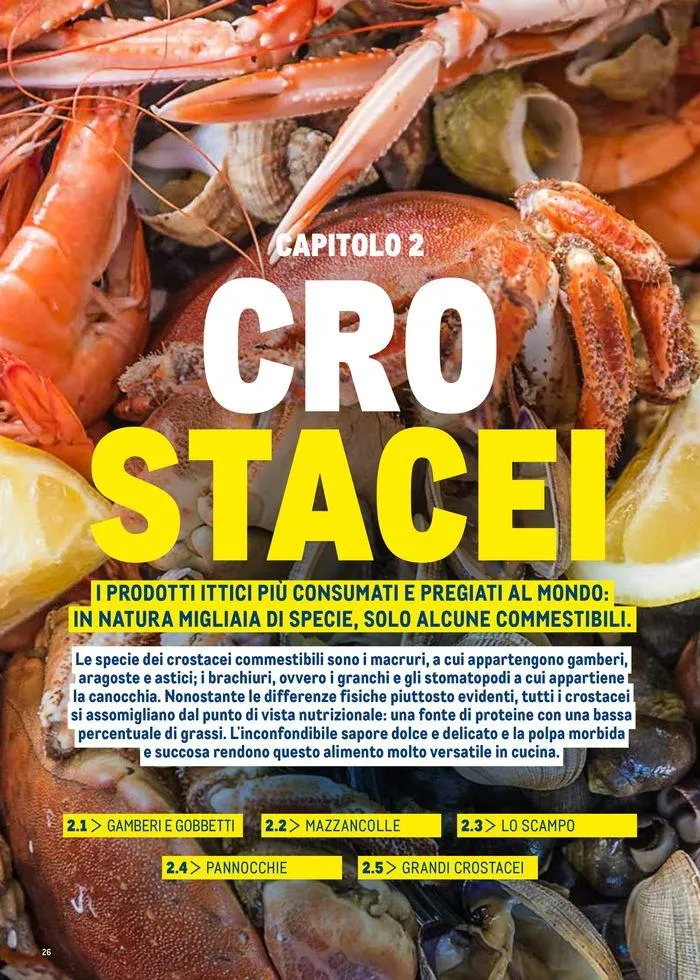 Catalogo Surgelati 2024 da 21 maggio a 31 maggio di 2025 - Pagina del volantino 26